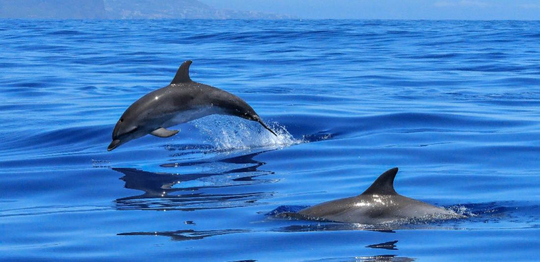 Круиз - Карибско приключение - Costa Fascinosa Круиз - Карибско приключение - Costa Fascinosa